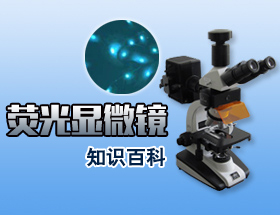 荧光显微镜知识百科